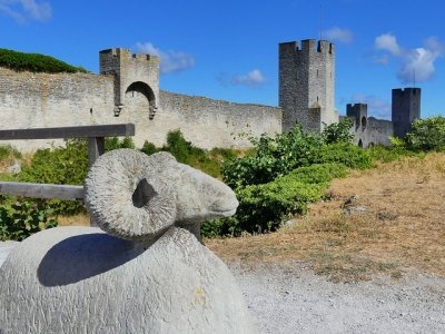 Visby by Clyde