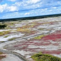Wood Buffalo National Park by Randi Thomsen