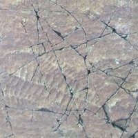 Mistaken Point by Craig Harder