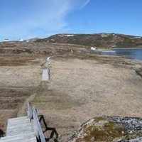 Red Bay Basque Whaling Station by Randi Thomsen