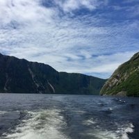 Gros Morne National Park by Craig Harder