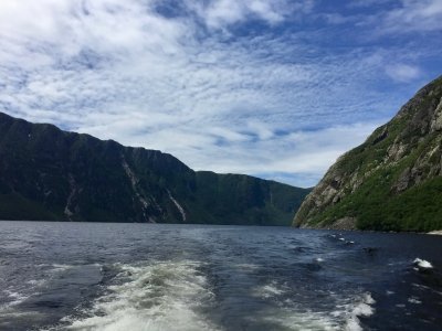 Gros Morne National Park by Craig Harder