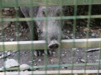 Western Caucasus by Alexander Barabanov