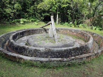 First Coffee Plantations by Alexander Barabanov