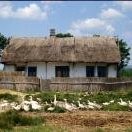 Danube Delta by Solivagant
