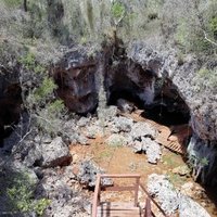 Desembarco del Granma National Park by Alexander Barabanov