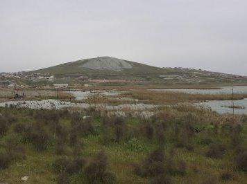 Binegadi Fauna and Flora Deposit by Walter