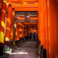 Ancient Kyoto by Shannon O'Donnell