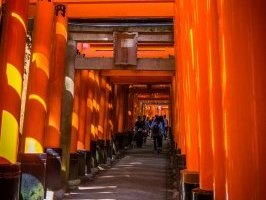 Ancient Kyoto by Shannon O'Donnell