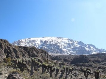 Kilimanjaro National Park by Kbecq