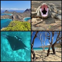 Komodo National Park by Clyde