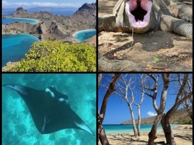 Komodo National Park by Clyde