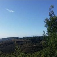 Chengjiang Fossil Site by Zoë Sheng