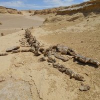 Wadi Al-Hitan by Michael anak Kenyalang