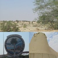 Al-Ahsa Oasis by Zoë Sheng