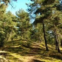 Curonian Spit by Nan