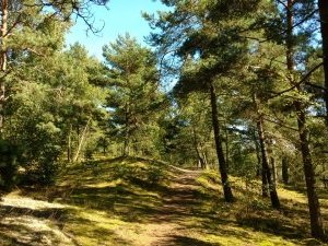 Curonian Spit by Nan