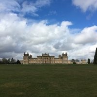 Blenheim Palace by Jakob Frenzel