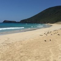 Lord Howe Island by Thomas Buechler