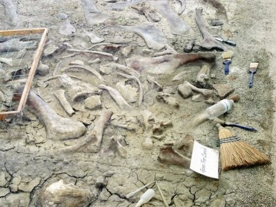 Dinosaur Provincial Park by Jay T