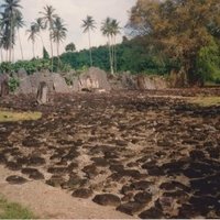 Taputapuātea by Dennis Nicklaus