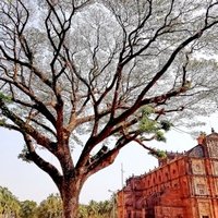 Churches and Convents of Goa by Alex Marcean