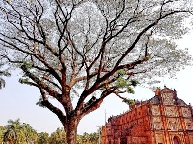 Churches and Convents of Goa by Alex Marcean