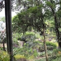 Sítio Roberto Burle Marx by Walter