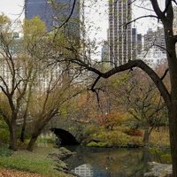 Central Park by Ilya Burlak