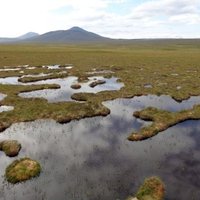 The Flow Country by Argo