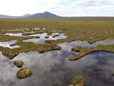 The Flow Country by Argo