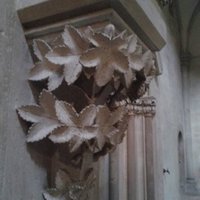 Naumburg Cathedral by Matejicek