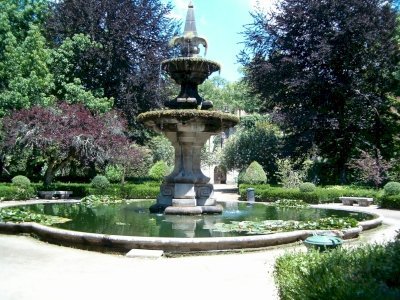 University of Coimbra by Matejicek