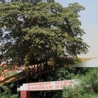 Ramagrama, the relic stupa of Lord Buddha by Zoë Sheng
