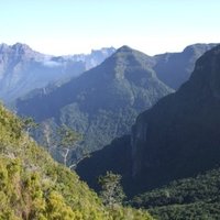 Laurisilva of Madeira by Matejicek