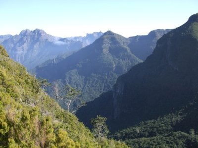 Laurisilva of Madeira by Matejicek