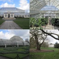 Kew Gardens by Peter Alleblas