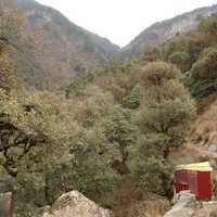 Great Himalayan National Park by Jarek Pokrzywnicki