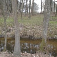 Fishpond Network in the Trebon Basin by Matejicek
