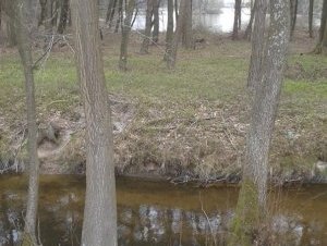 Fishpond Network in the Trebon Basin by Matejicek