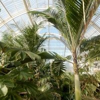 Kew Gardens by Squiffy