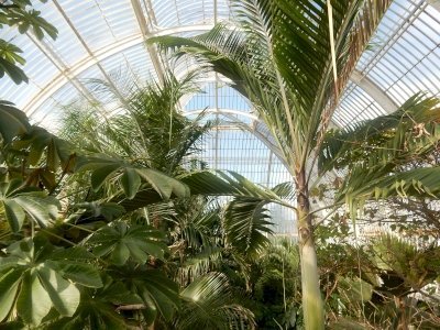 Kew Gardens by Squiffy