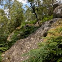 Domaine de Fontainebleau by Grendel Gongan