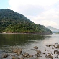 Atlantic Forest South-East by Philipp Peterer