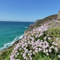 Cornwall and West Devon Mining Landscape by Clyde
