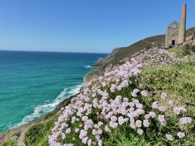 Cornwall and West Devon Mining Landscape by Clyde