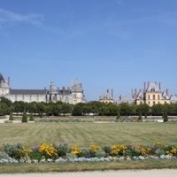 Fontainebleau by Jakob Frenzel