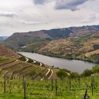 Alto Douro by Ilya Burlak
