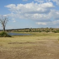 Chobe Linyanti System by Els Slots