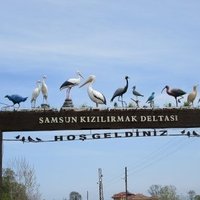 Kızılırmak Delta Wetland and Bird Sanctuary by Wojciech Fedoruk